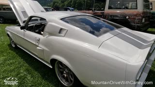 1967 Ford Mustang Cobra GT500