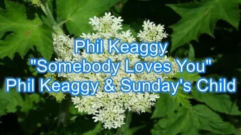 Phil Keaggy - Sombody Loves You #294