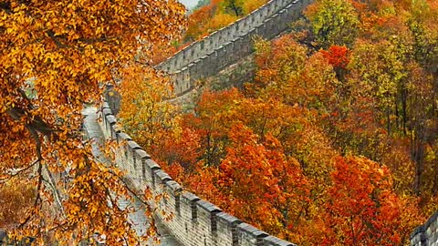 The Four Seasons of the Great Wall
