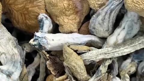 JEDI MIND FUCK, SHROOMS https://t.me/jwh3mmc 🥦Buds Available🥦 🥦