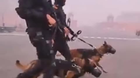 Dog's training by Indian army !