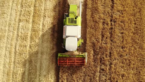 Harvest in Macedonia filmed from above