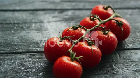 Branch with cherry tomatoes