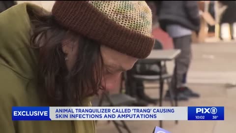 Gli utilizzatori di Tranq parlano del farmaco veterinario mangia pelle che può portare all'amputazione degli arti DOCUMENTARIO L'epidemia di farmaci oppioidi sintetici a base di fentanyl in Nord America.oltre i senzatetto hanno anche i drogati