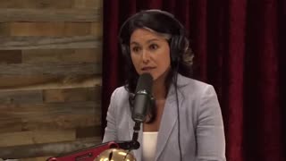 Tulsi Gabbard on the Deep State vs Trump: "He's The Guy That Broke Through"