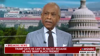 'I have so many black friends’: Rev. Sharpton reacts to Donald Trump's claim he is not a racist
