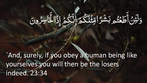 The Holy Quran - Surah 23. Al-Mu'minun (The Believers)