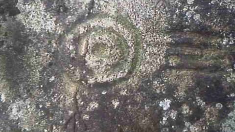 INCREDIBLE 4th PETROGLYPH on local woman Virginia's property Pena Blanca Ecuador