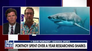 "Shark Expert" Dave Portnoy Writes a Book, "Shark have Feelings Too"