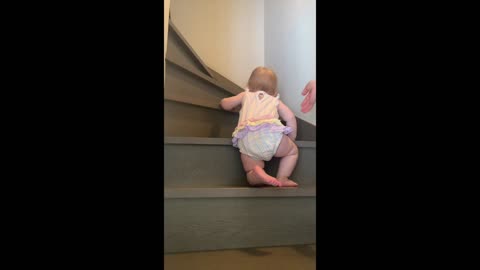 Climbing the Stairs in Our Old Japanese House