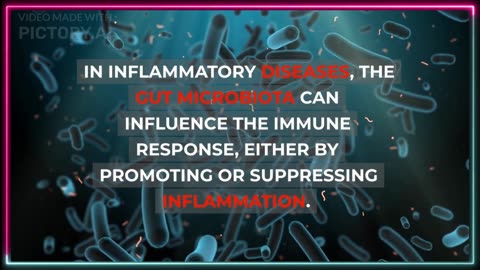 What is the Role of Gut Microbiota in Regulating the Inflammatory Response? #Dysbiosis #inflammation