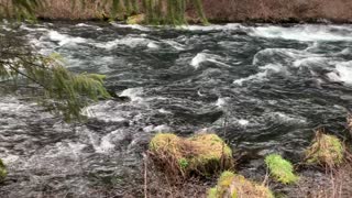 The National Wild & Scenic Metolius River – Central Oregon