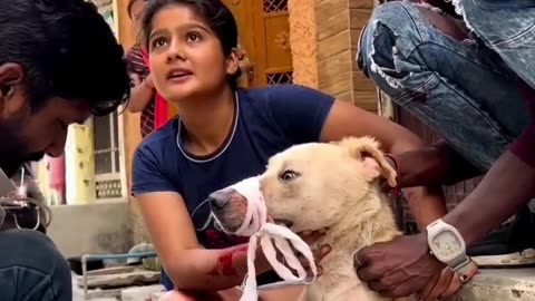 dog rescue _ animal rescue -- _shorts _Animal rescue _Rescue(720P_HD)