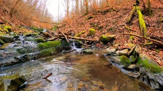Fall Mountain Stream In The Mountains