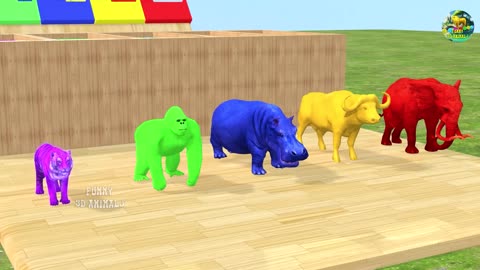 Long Slide Game With Elephant Gorilla Buffalo Hippopotamus Tiger- 3D animehouse1- Funny animals