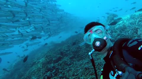 Diving in Sipadan Island - GOPRO3+