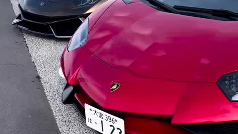 Lamborghini videos