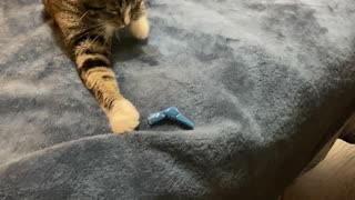 Playing With A Folded Chip Bag!