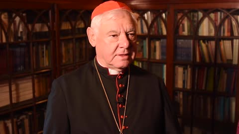 Cardinal Muller talks with LifeSiteNews