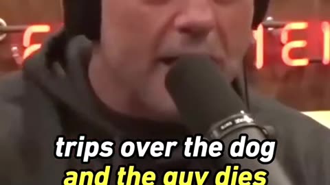 Joe Rogan in 23 seconds! #jre #jreclips #joerogan #joeroganpodcast #joeroganexperience #theovon #pup