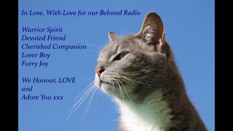 A Dreaded Day Arrived - Saying Goodbye My Beloved Furry Friend Radio