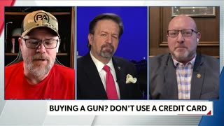 Second Amendment: This Time it's For Real! Tim Harmsen & Alex Bosco join The Gorka Reality Check