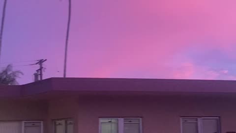 What a beautiful sight! I don’t think I’ve ever seen a Purple Sky before, what about y’all?