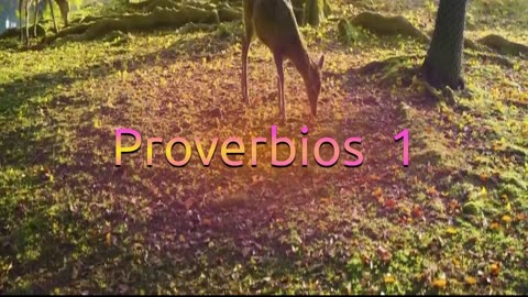 VIDEO COMPLETO: Proverbios 1 Reina-Valera 1960