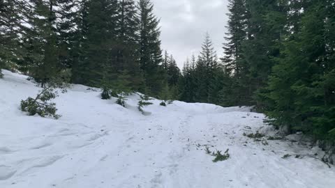 Ascending Across Thick Snow – Central Oregon – Potato Hill Sno-Park – 4K