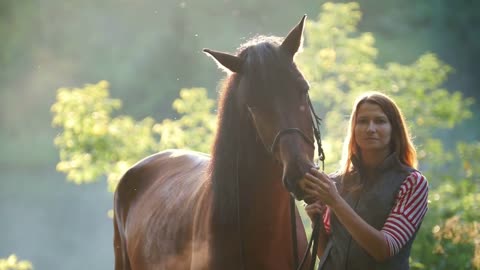 Young woman hugging and stroking a horse in the forest at dawn