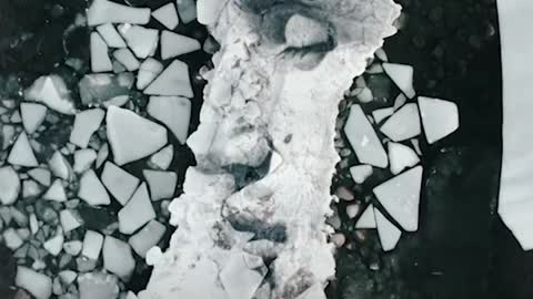 Artist paints portraits on giant floating blocks of ice