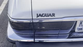 1993 jaguar convertible… in the wild