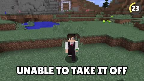 34 Minecraft Things You Didn’t Know Existed