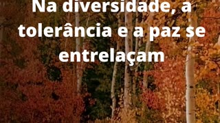 #tolerânciaepaz