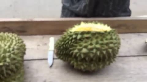 Would You Eat This? Injected Durian Fruit!