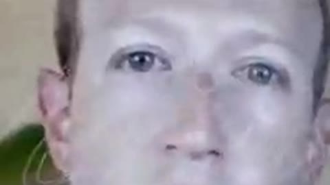 Leaked Zuckerburg Jab Denier (caution to employees)