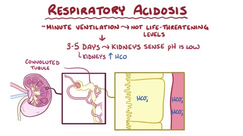 RESPIRATORY ACIDOSIS: Causes, Signs and Symptoms, Treatment and Pathologgy