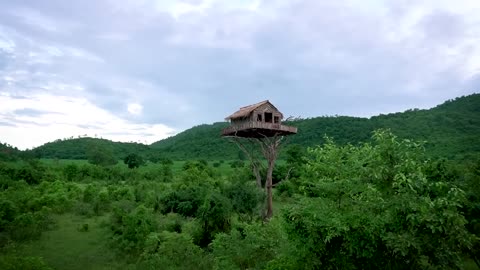 How To Build House On The Tree