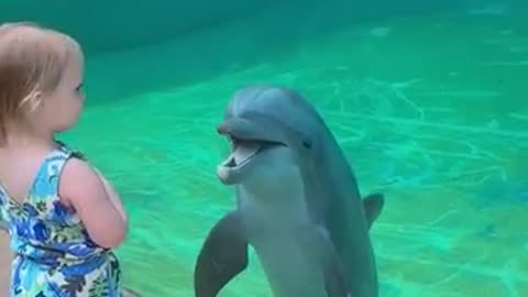 Cute Dolphin 🐬🥰