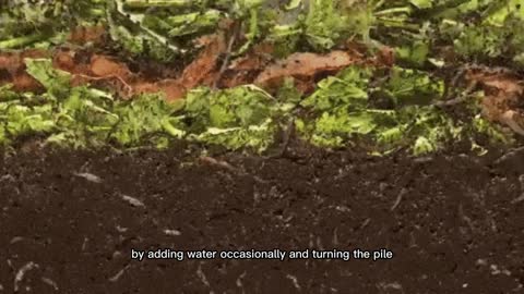 Homemade fertilizer