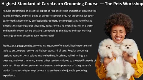 Highest Standard of Care:Learn Grooming Course — The Pets Workshop