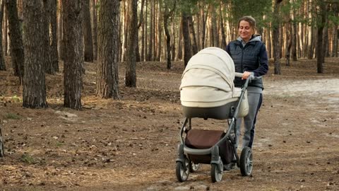 Mother lulling her baby in stroller in a park