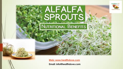 Nutritional Benefits of Alfalfa Sprouts
