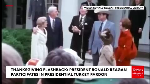 THANKSGIVING FLASHBACK- Reagan Jokes After Pardoned Turkey Goes A Little Wild Before Pardon Ceremony