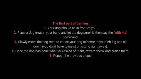 How to train your DOG in a simple & effective way