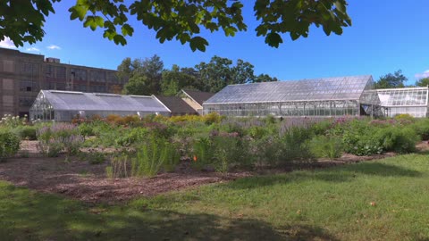 Marsh Gardens in September