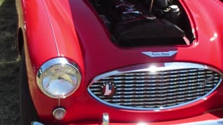 1959 Austin Healey BMG