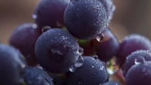100% Grape Transformation/The Ultimate Grape Inflation Subliminal! (Wave Version) 🍇