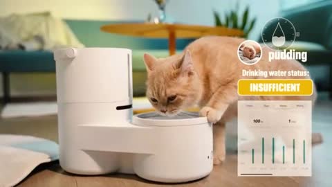 Drinkie: Your pet’s favorite self-cleaning water dispenser | World Top New Technologies