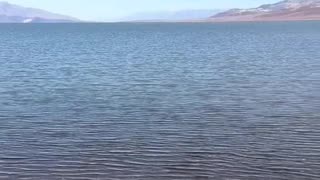 Death Valley, California Bad Water Basin Filled Up. First Time In 100 Years.